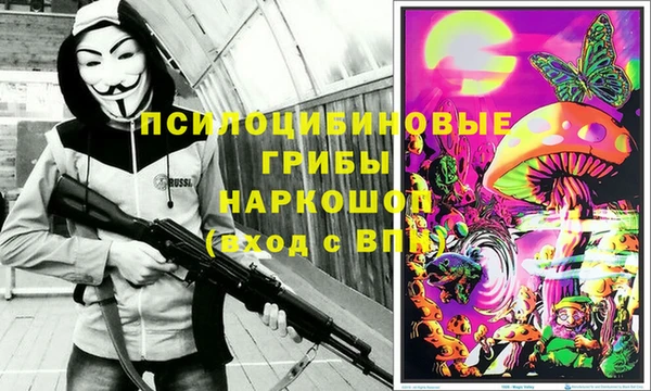 соль курить ск Богданович