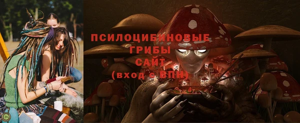 соль курить ск Богданович
